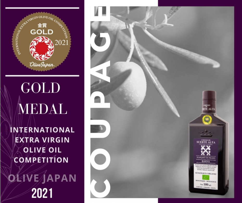 Coupage Natural galardonado en Olive Japan 2021